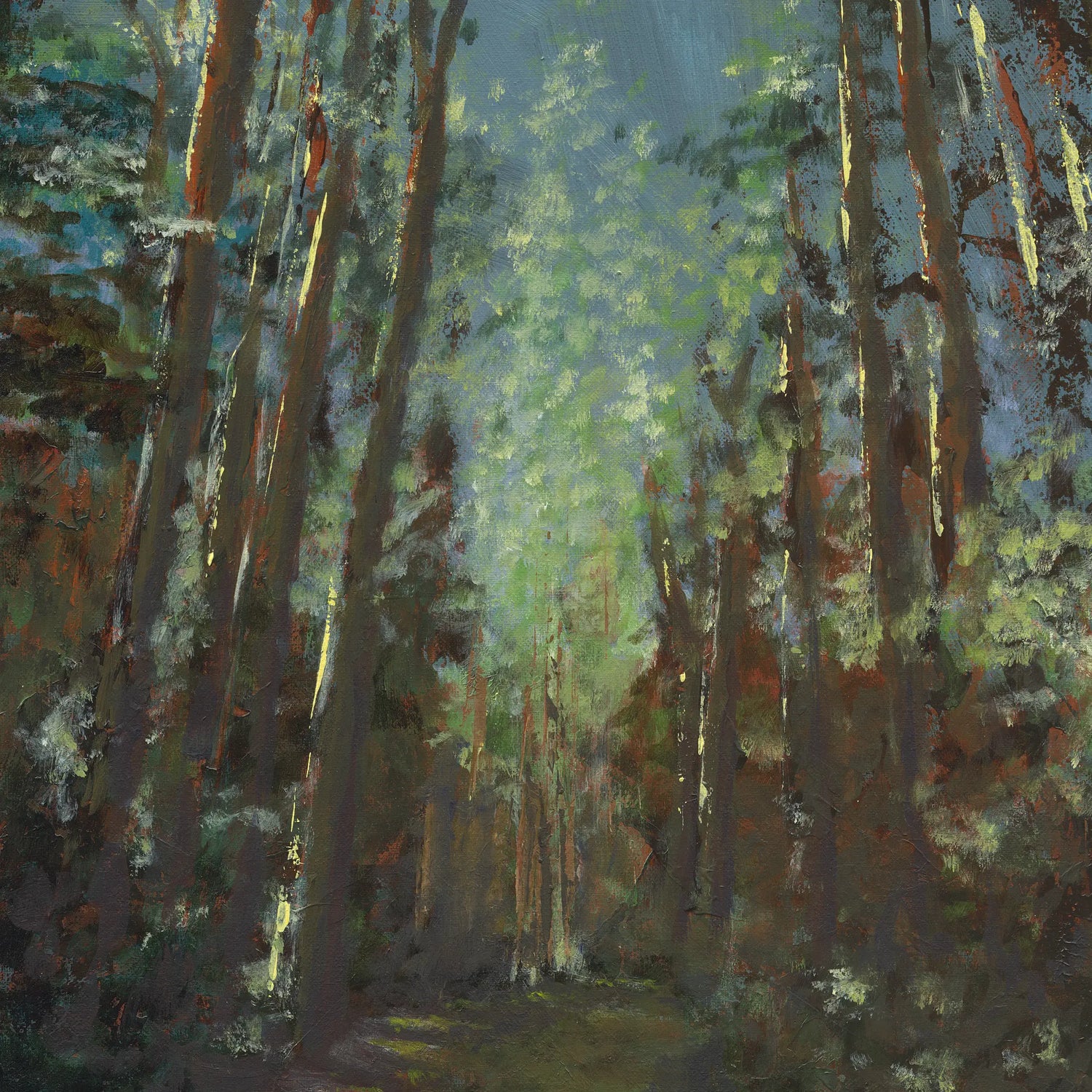 Painting of a forest with tall trees and dappled light