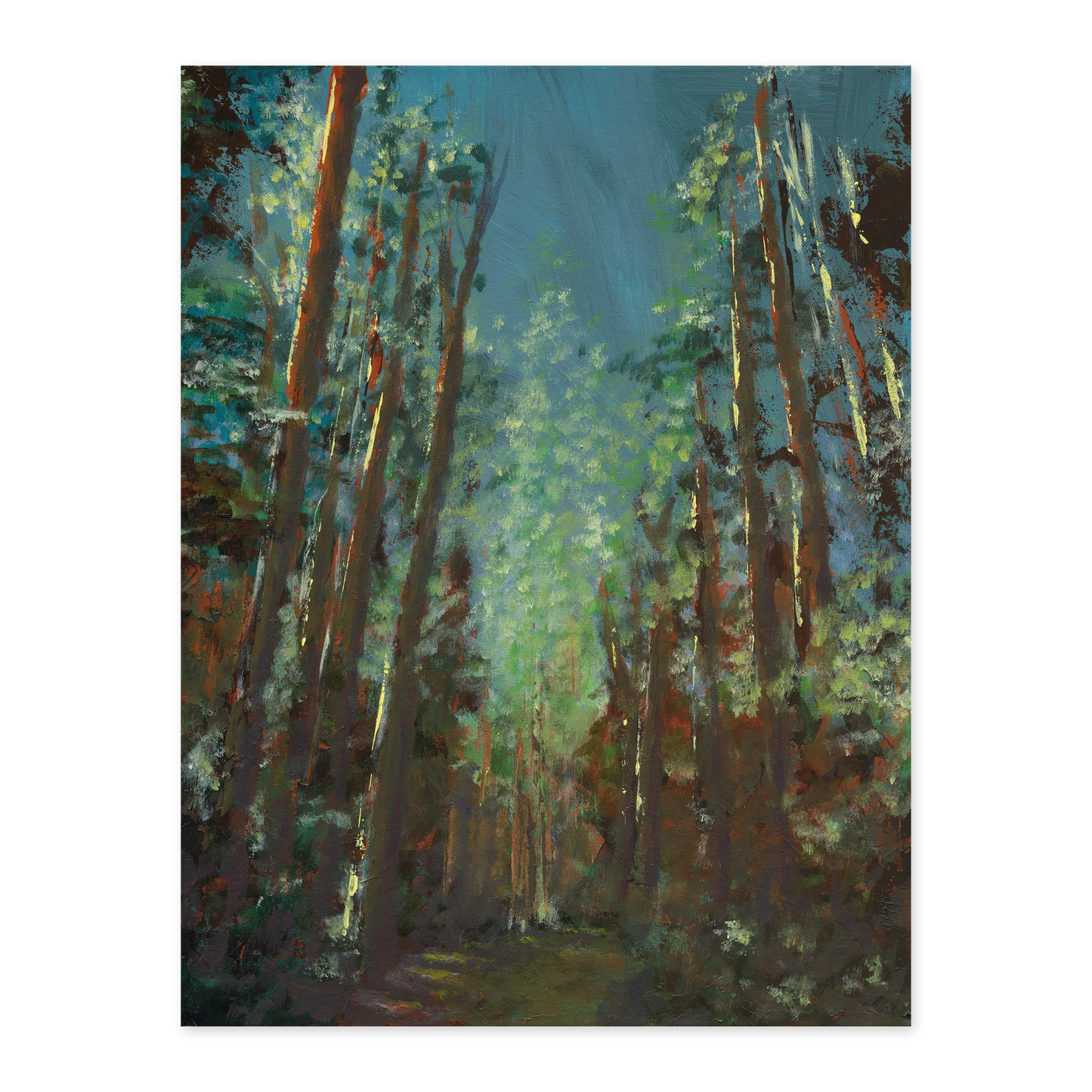 Painting of a forest with tall trees and dappled light