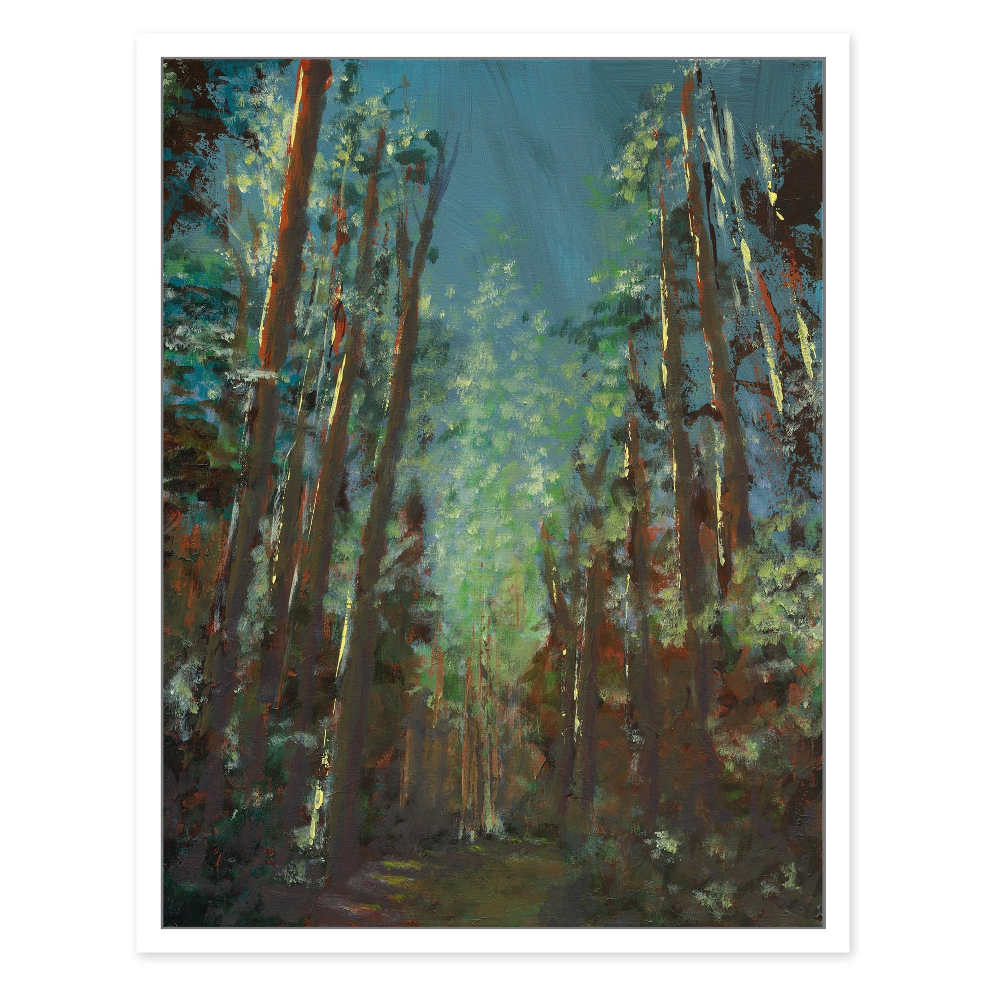 Forest Walk - Print Options - Adam Ruspandini