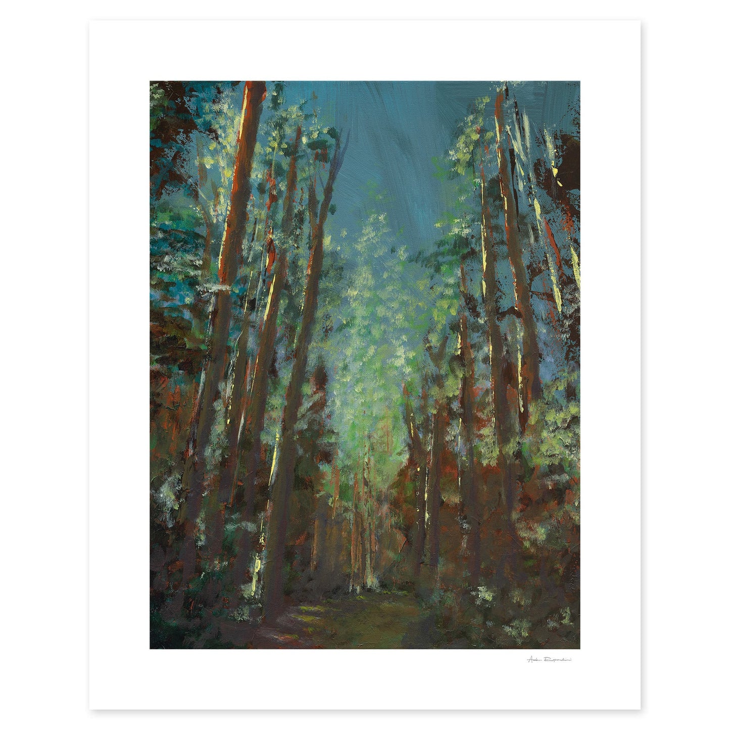 Forest Walk - Print Options - Adam Ruspandini