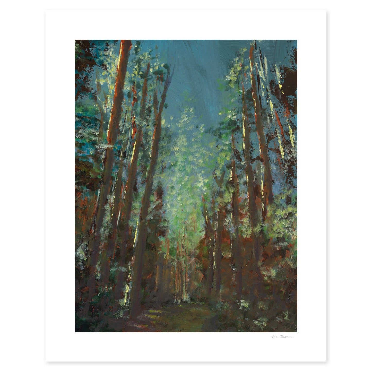 Forest Walk - Print Options - Adam Ruspandini