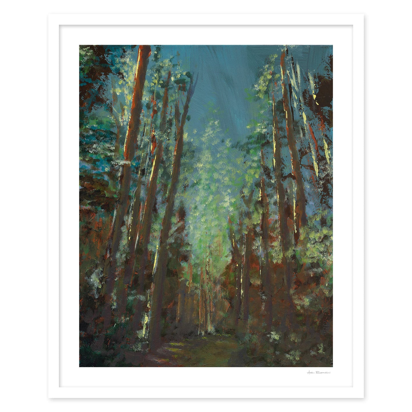 Forest Walk - Print Options - Adam Ruspandini