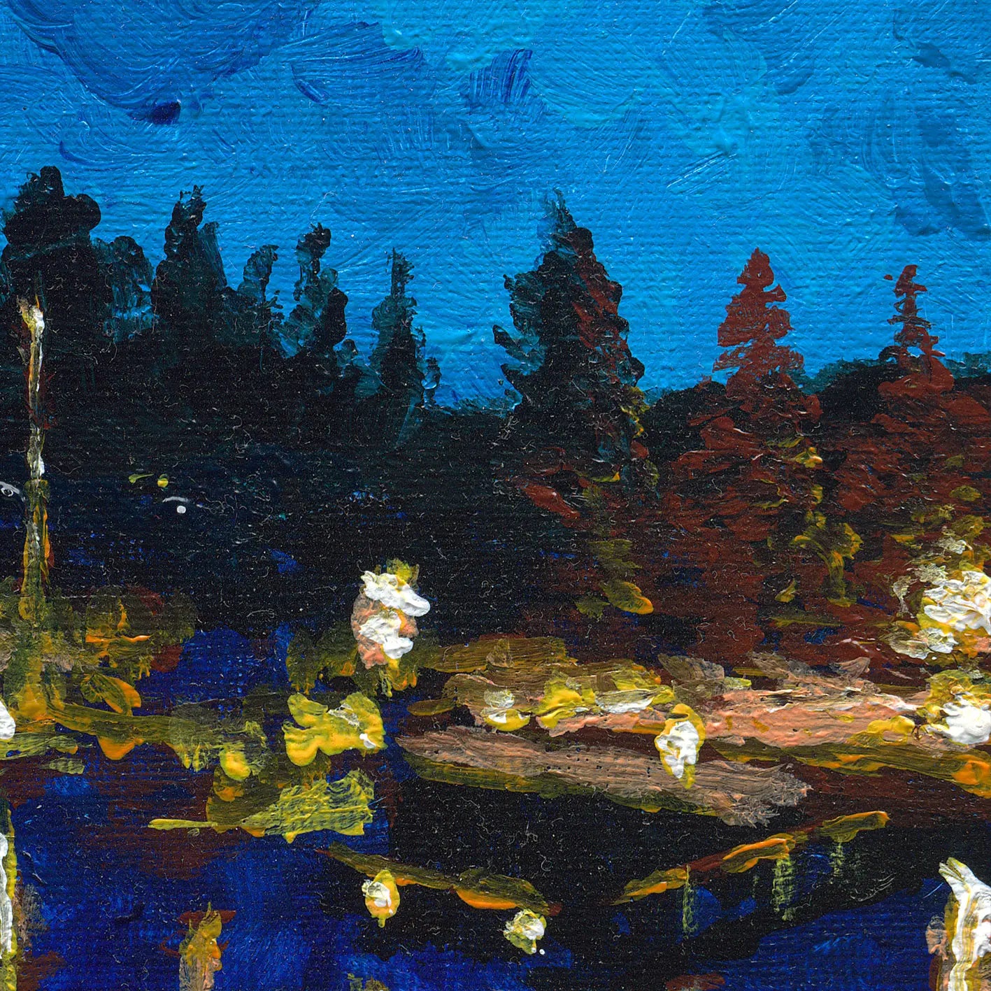 Forster at Night