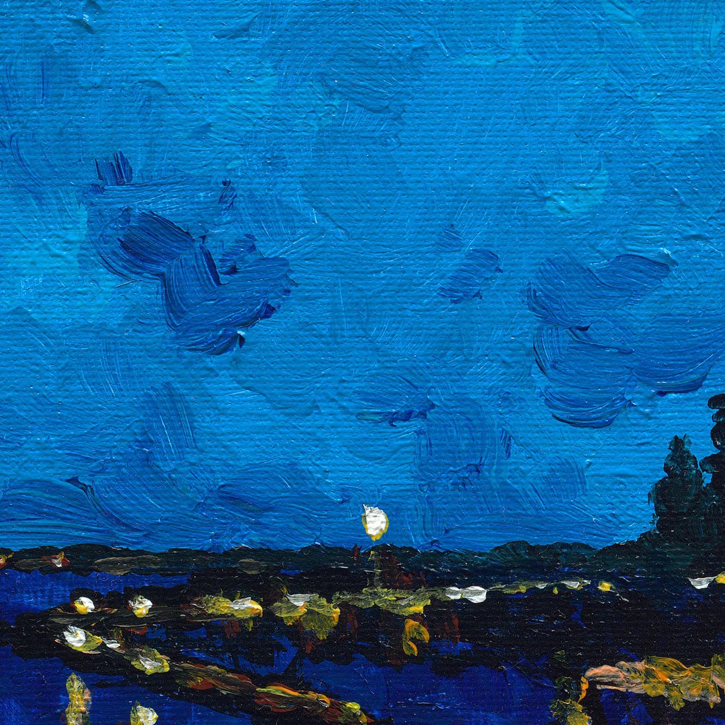 Forster at Night